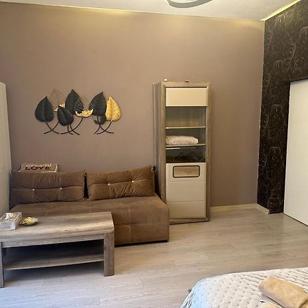Mystic Dream House Brasov Apartman Kültér fotó